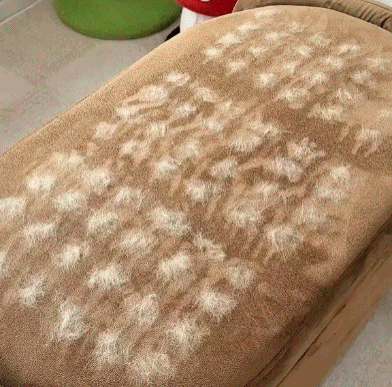 🔥 WESNENY™ Electrostatic Pet Hair Removal Grooming Gloves