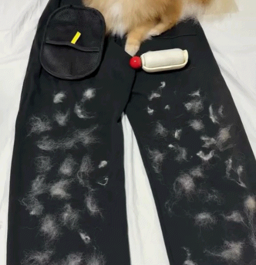 🔥 WESNENY™ Electrostatic Pet Hair Removal Grooming Gloves